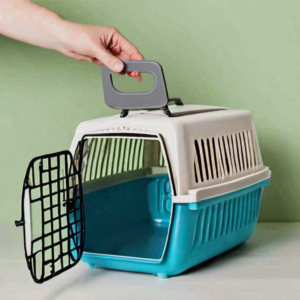 How to Sanitize a Cat Carrier: