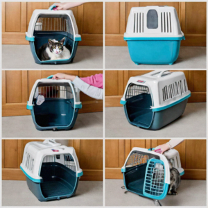 How to Sanitize a Cat Carrier: