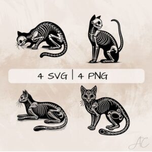 The 4 Essential Elements of a Cat's Skeleton