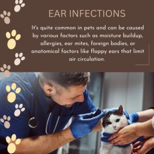 Ear Mites in Cats