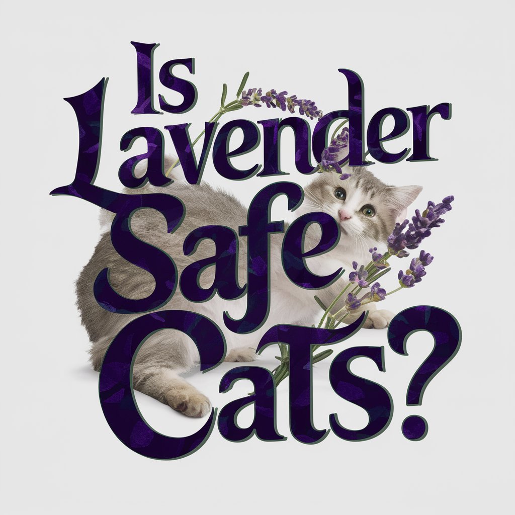 is lavender safe for cats?